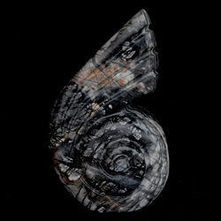 SHELL