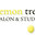 www.thelemontree.ca