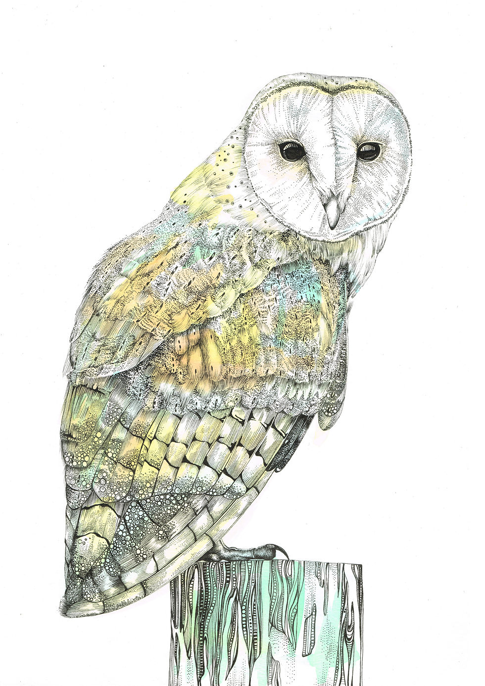 Thumbnail: Barn Owl Original Art