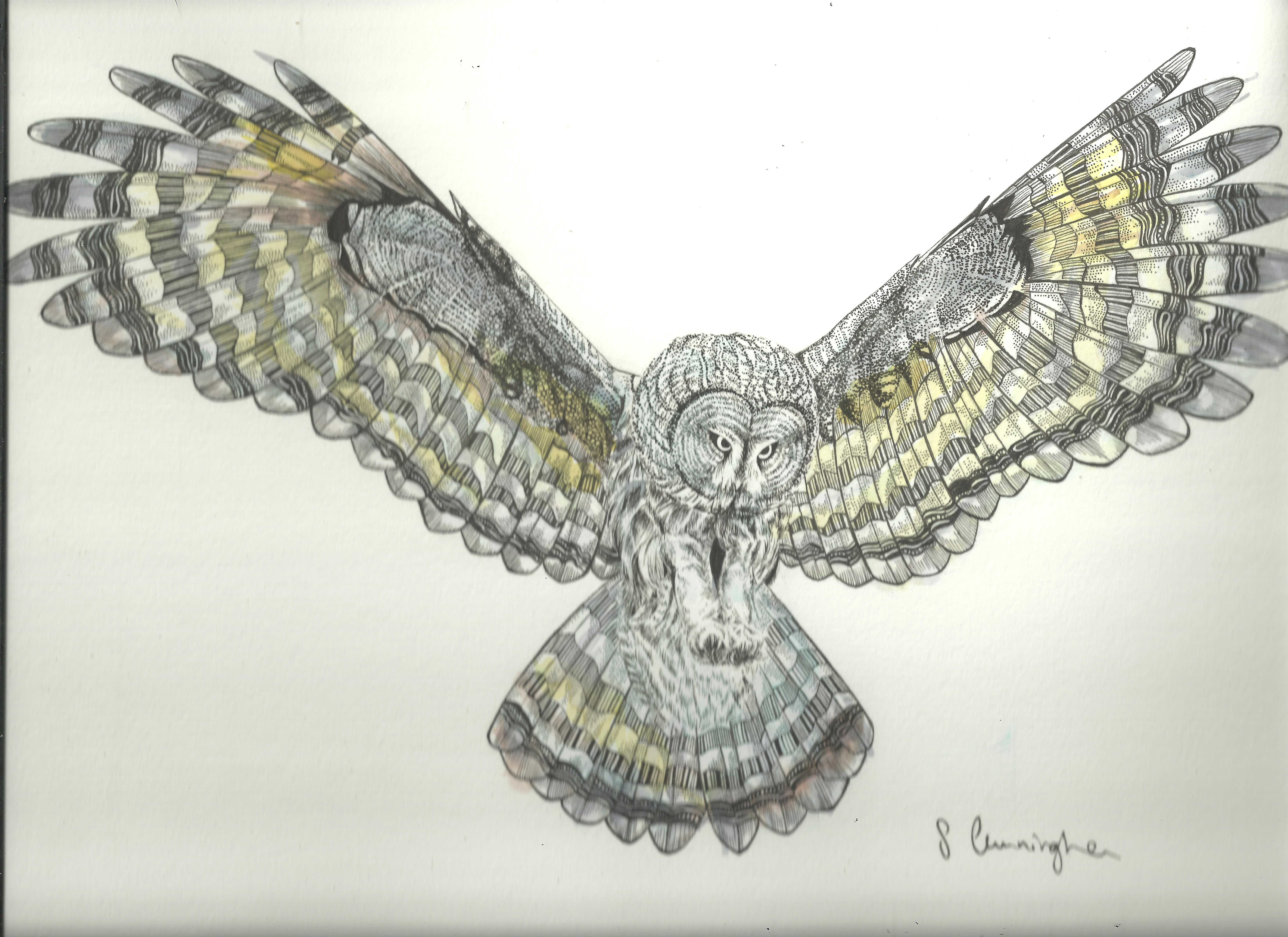 owl commission