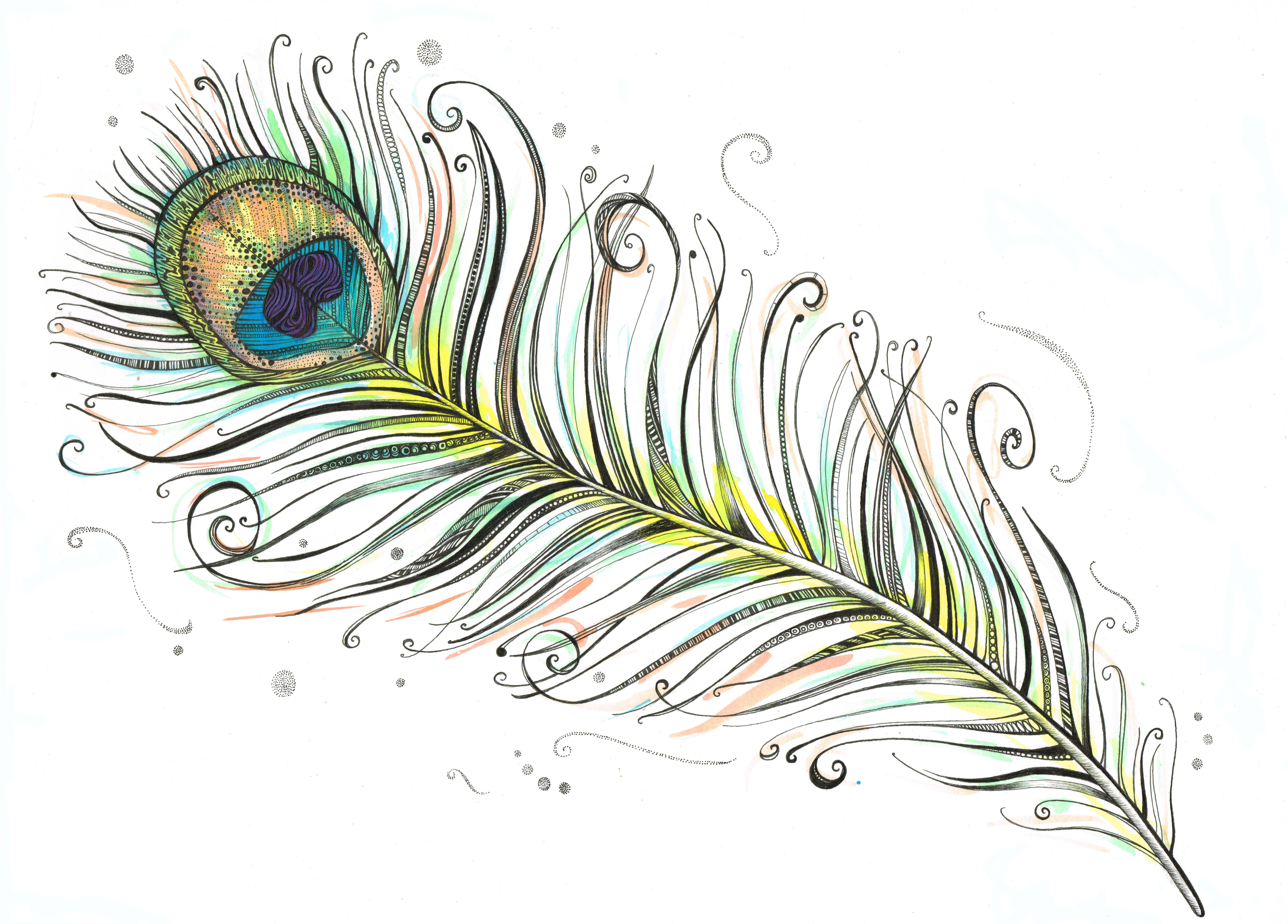 Peacock Feather Original Art