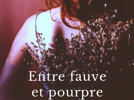 Nouvelle offerte !