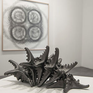GaleriaLaCometa_TonyOrrico-24_edited.jpg