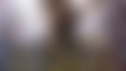 Empfehlung des Tages: Die Geheimnisse des Schattenmarktes