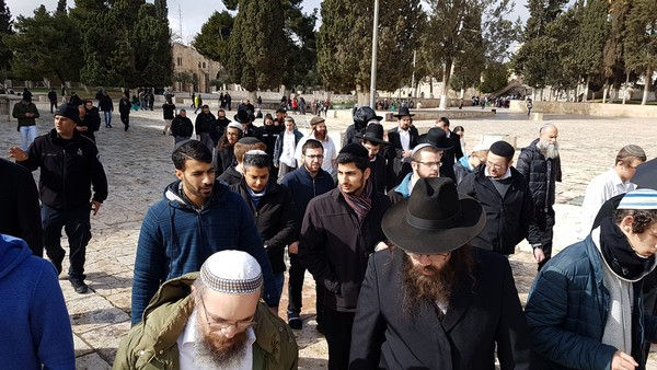 The group of 42 Jews who prayed on the Temple Mount (Image credit: Michael Miller)