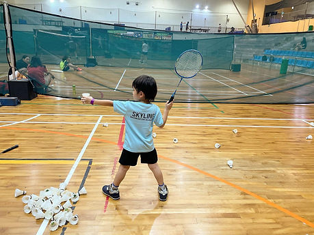 Skyline Badminton 1.jpg