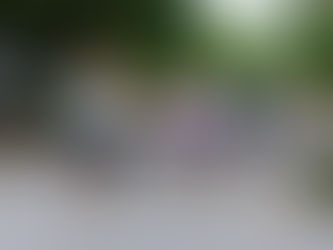 Destination Race: Letsgo Potch Marathon boasts top runners, great vibe and unique small-town atmosphere