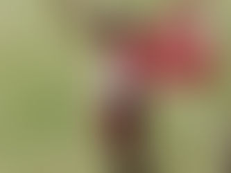 'I wanted to do it for Hoseah Tjale' - The Sam Tshabalala story