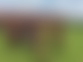 I won because I never stopped training - Mashele