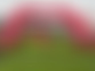 'We don't put all our eggs in one basket' - Nedbank dominate Biogen 21K signalling intentions for 2025 road running season