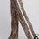 Thumbnail: Animal Print Straight Pant