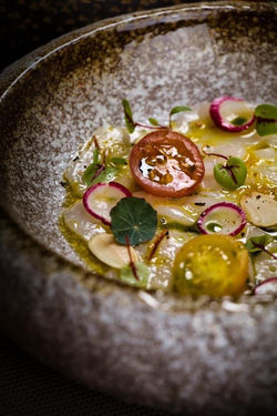 772aa25b-cfb1-4d41-8e42-77ff22b35576