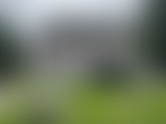 Saturday Sessions Available in Provo & Springville