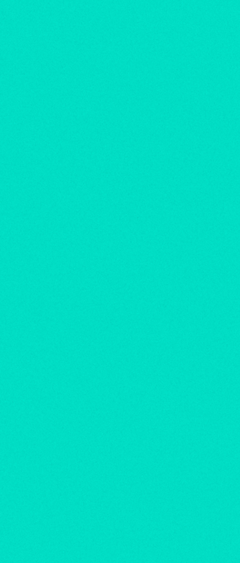 Untitled design-5.jpg