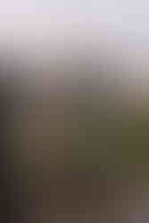 Sfeerbeeld van Lago di Braies, populaire elopement locatie in de Dolomieten