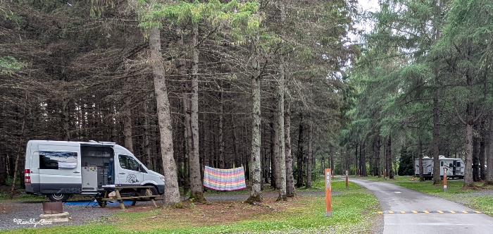 forested campground with a open white campervan 