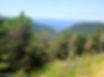 A forested hill with a small cove at the far end