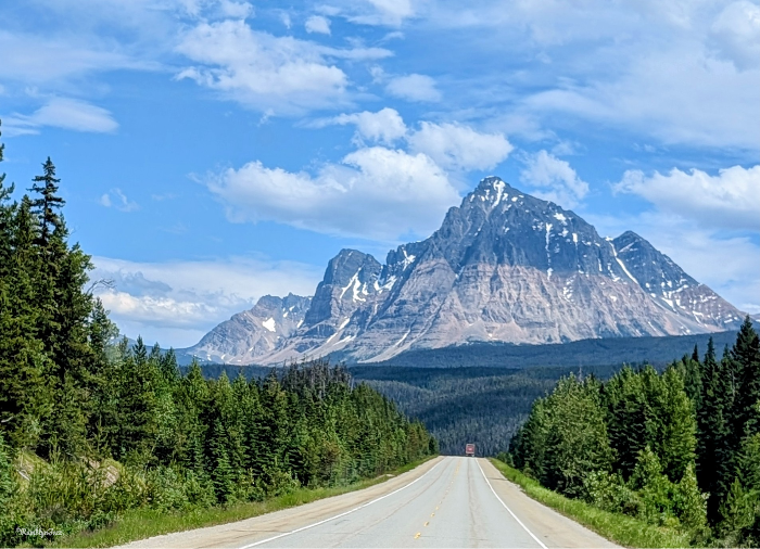 Open road through pine forest toward a jagged snowcapped mountain under a bright blue, partly cloudy sky, peaceful scene