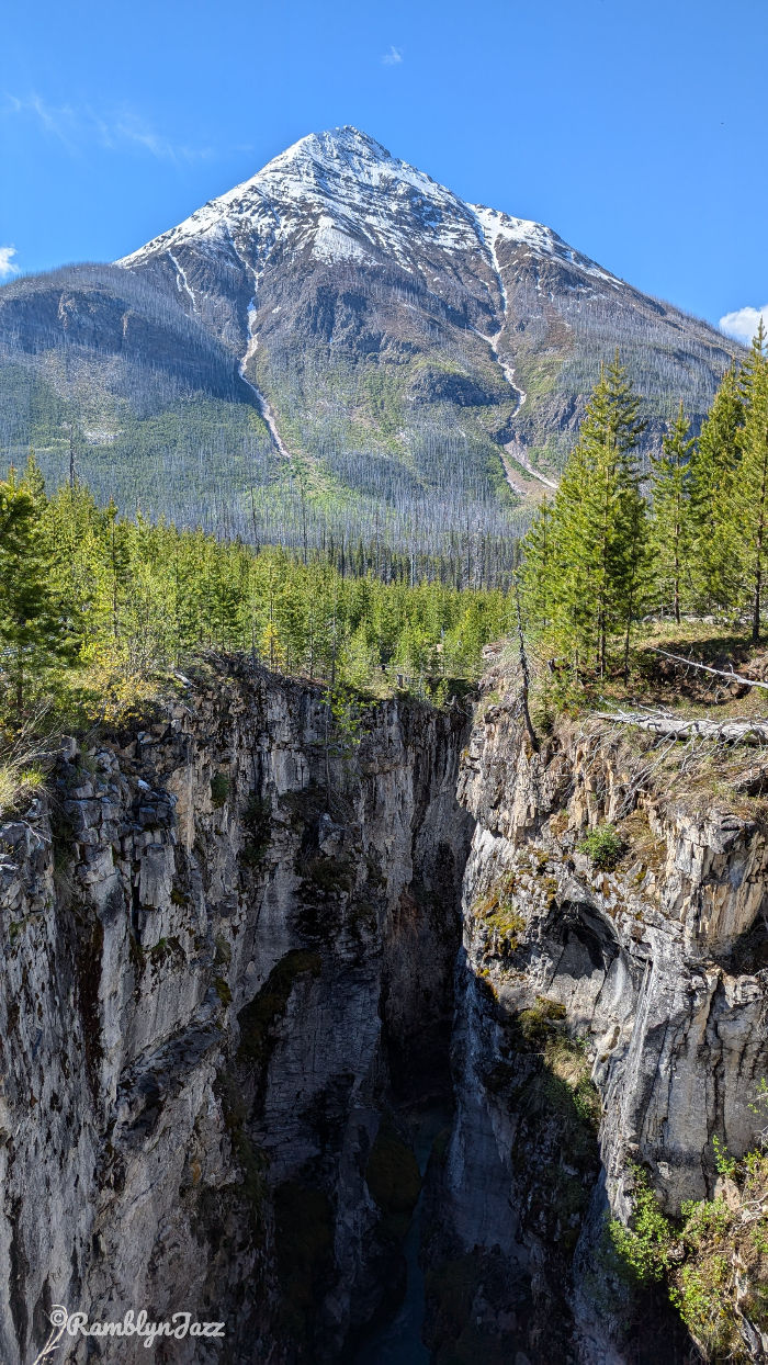 Snow-capped mountain with a pine forest and deep canyon below under a clear blue sky. Rocky cliffs frame the landscape.