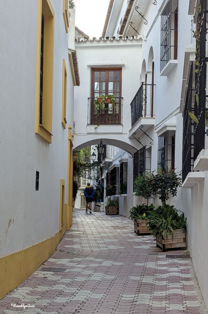 Narrow, cobblestone alley with white walls and yellow trim. A person walks away, surrounded by potted plants and wrought iron balconies.
