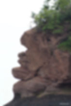 Rock face resembling a human profile with trees on top, against a white sky. The brown rock has textured details and lush greenery.