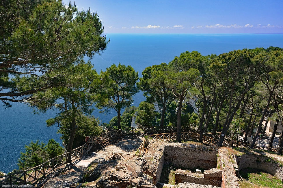 A view across the Mediterranean with ruins and tree in the foreground