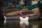 Two open row boats with awnings at the side of the lagoon, with a white egret perched on one boat.