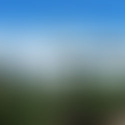 Sign reading "THUNDER BAY" with tree silhouettes, set against a clear blue sky and green foliage, evokes a serene and natural mood.