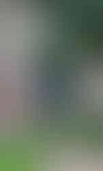 Brick arch leading into the ruins of a building with vines and trees clinging to the walls