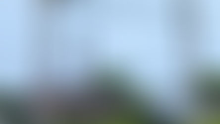 Haida Gwaii Travel Guide: Exploring Masset and Old Masset