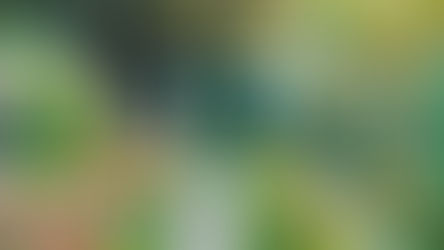 Following in the Footsteps of Monet and Van Gogh: A Journey Through France