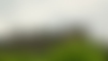 Carcassonne: Medieval and Marvellous