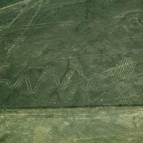 A heron petroglyph with a long tail