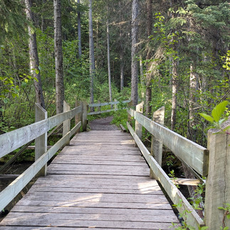 A wooden trail bridge