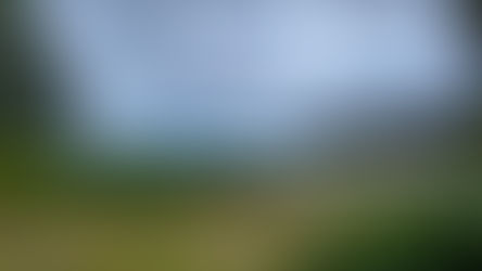 Haida Gwaii Travel Guide: Exploring Daajing Giids, Tlell, and Port Clements