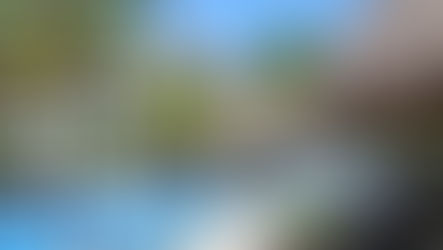 Budget Traveller in a Posh Resort?