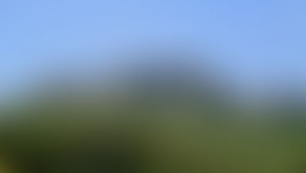 Day Trip: Les Baux de Provence