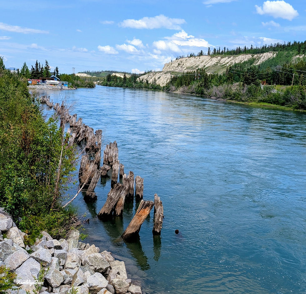 Wide blue river beside rocky banks, old wooden pilings, pine-covered cliffs, and a bright sky.