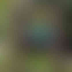 sign for the Beaver Pond Bike Park