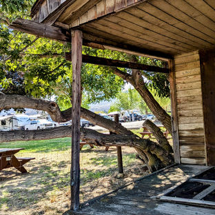 A deteriorated wooden single story homestead with a broken porch, surrounded by large trees