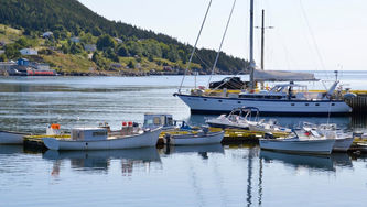 St. John's Day Trip: Witless Bay, Ferryland, and Mistaken Point