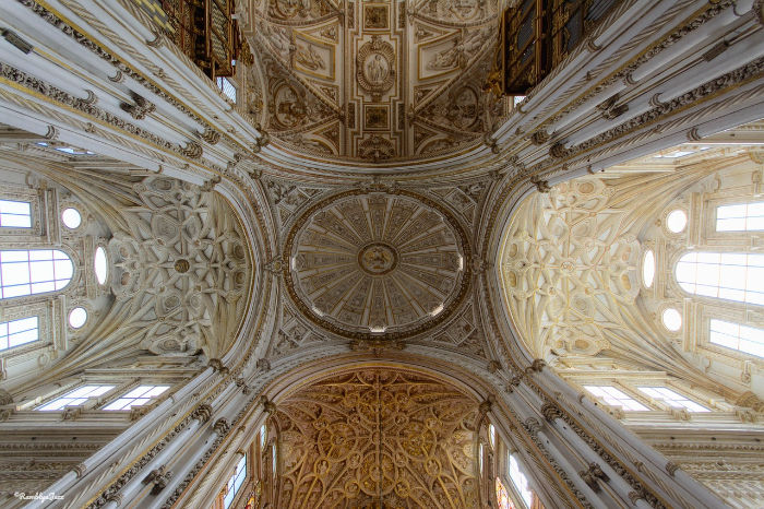 Ornate cathedral ceiling with intricate gold and white patterns. Sunlight streams through arched windows, creating a solemn, awe-inspiring atmosphere.
