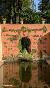 A reed stone wall with vegetation growing in the cracks, topped with potted plants. In an alcove is a statue. All reflected in the pool in front.