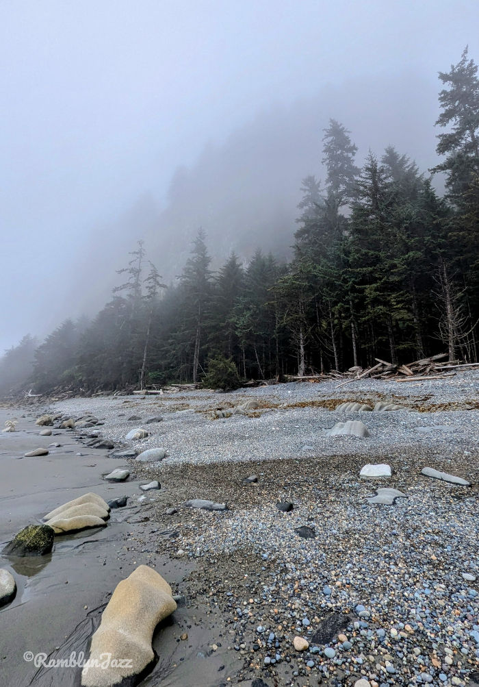 a steep rocky beach with a hill shrouded in fog