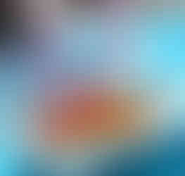 a take-out order of poutine on a blue picnic table with two pink plastic forks