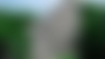 Coba Mayan Ruins: A Yucatan Day Trip