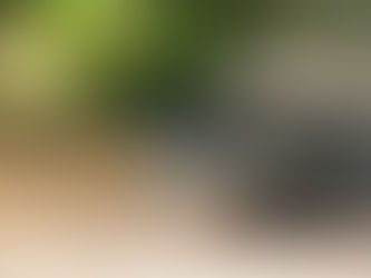 Galapagos Travel Essentials: Key Travel Information for the Galapagos Islands