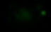 Black Sky_edited_edited.jpg