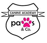 CANINE ACADEMY WHITE.JPG