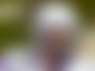 Paris Lights (AFLE): Paris verpflichtet kanadischen Quarterback Evan Hillock